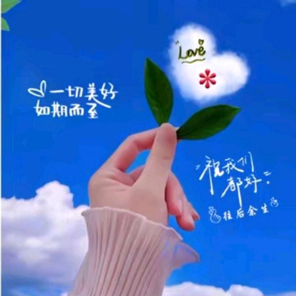 跨区收割—燕子
