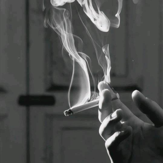 十里云华