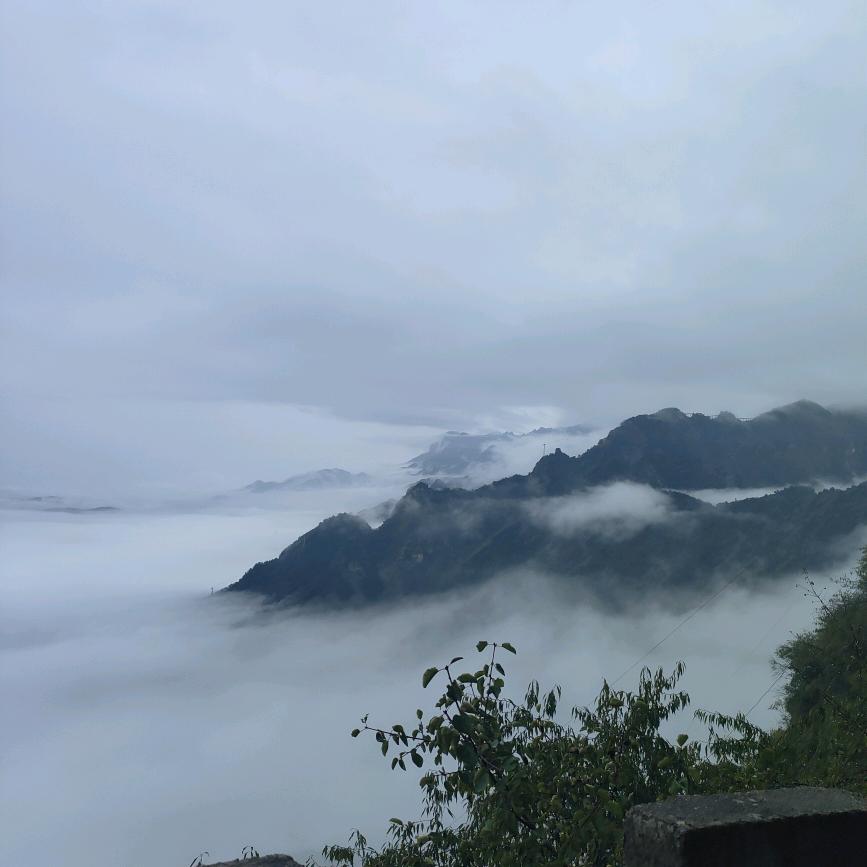 滑县峰仔食品精选铺子