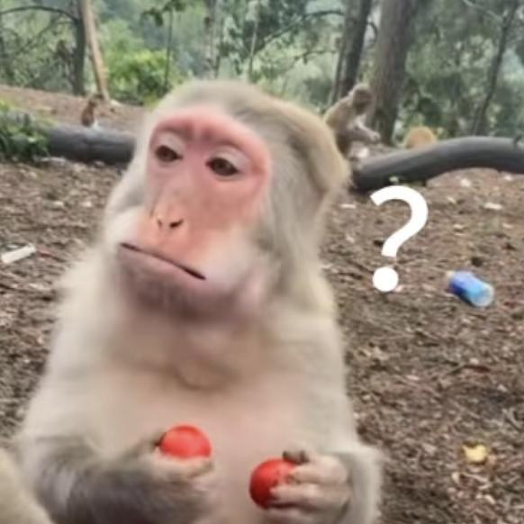 皮丘不卡(✧∇✧)