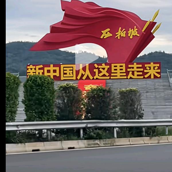 富贵有鱼