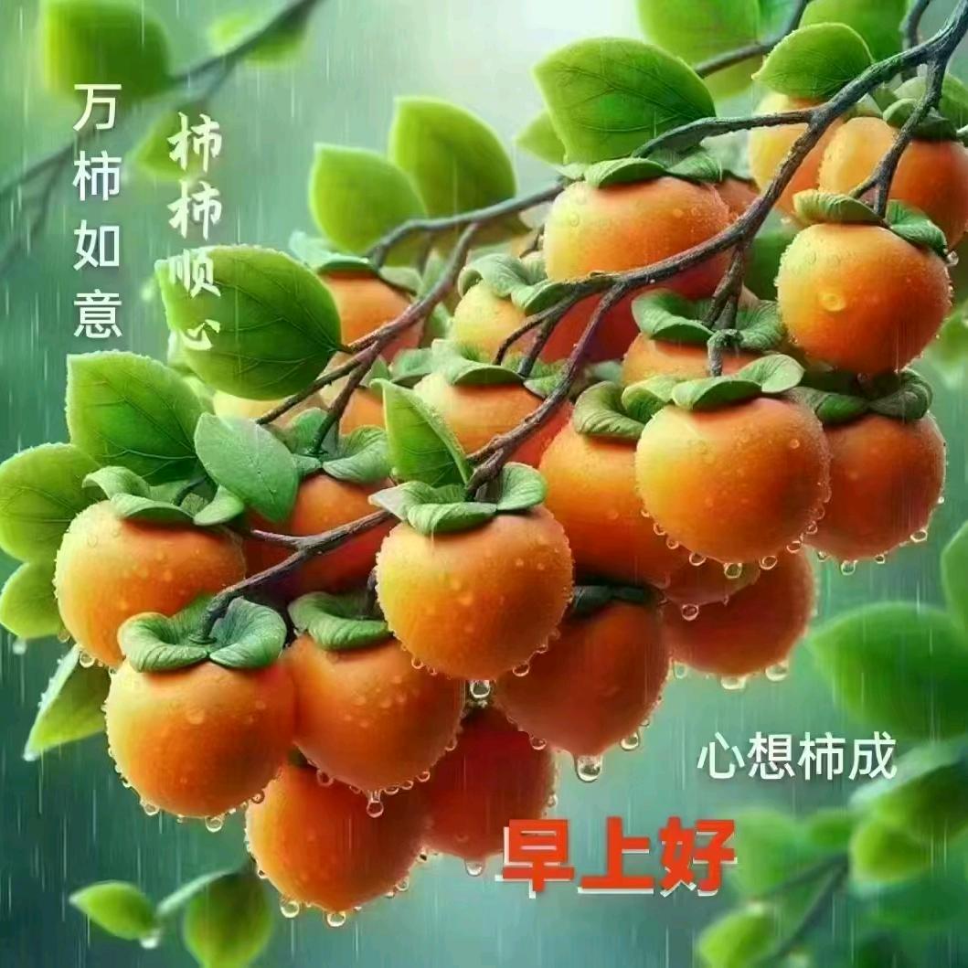 世界因你而美丽