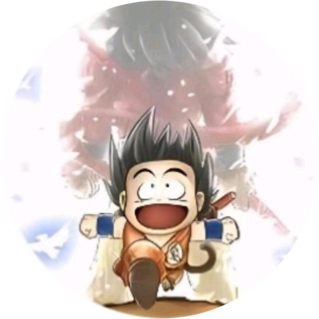 炒股养家
