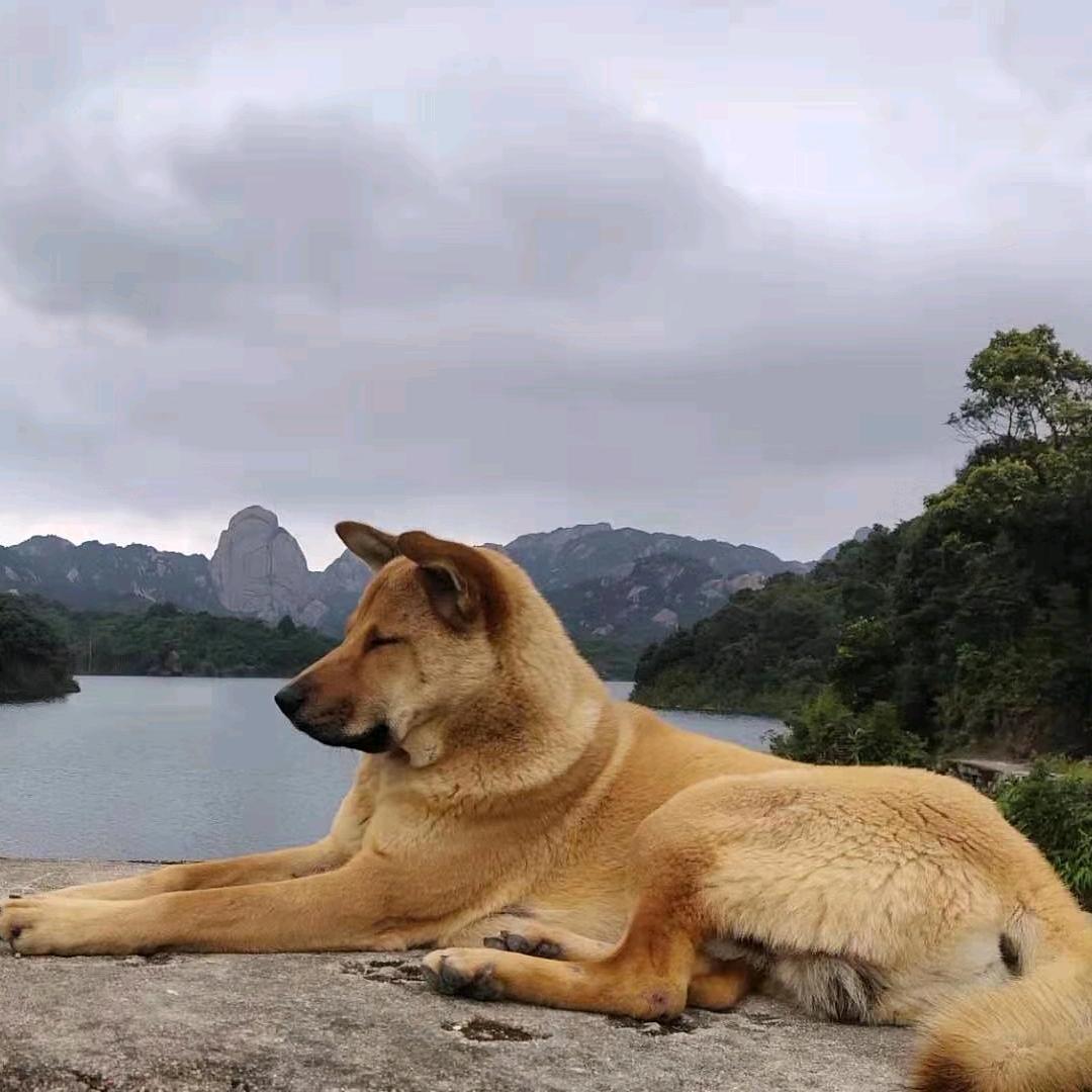 山高牧马