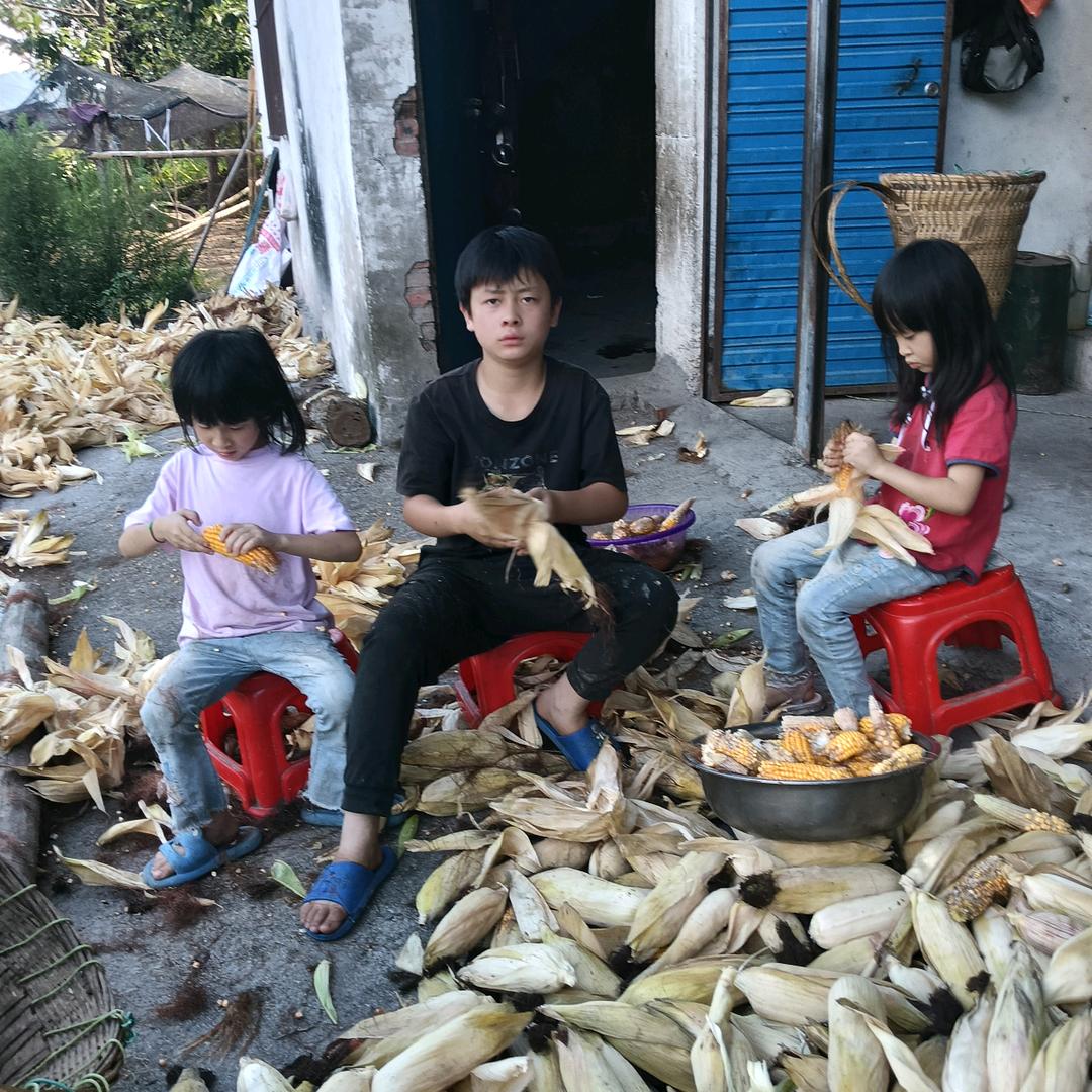 李世农村年轻高山人