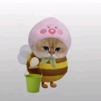 脆薯饼