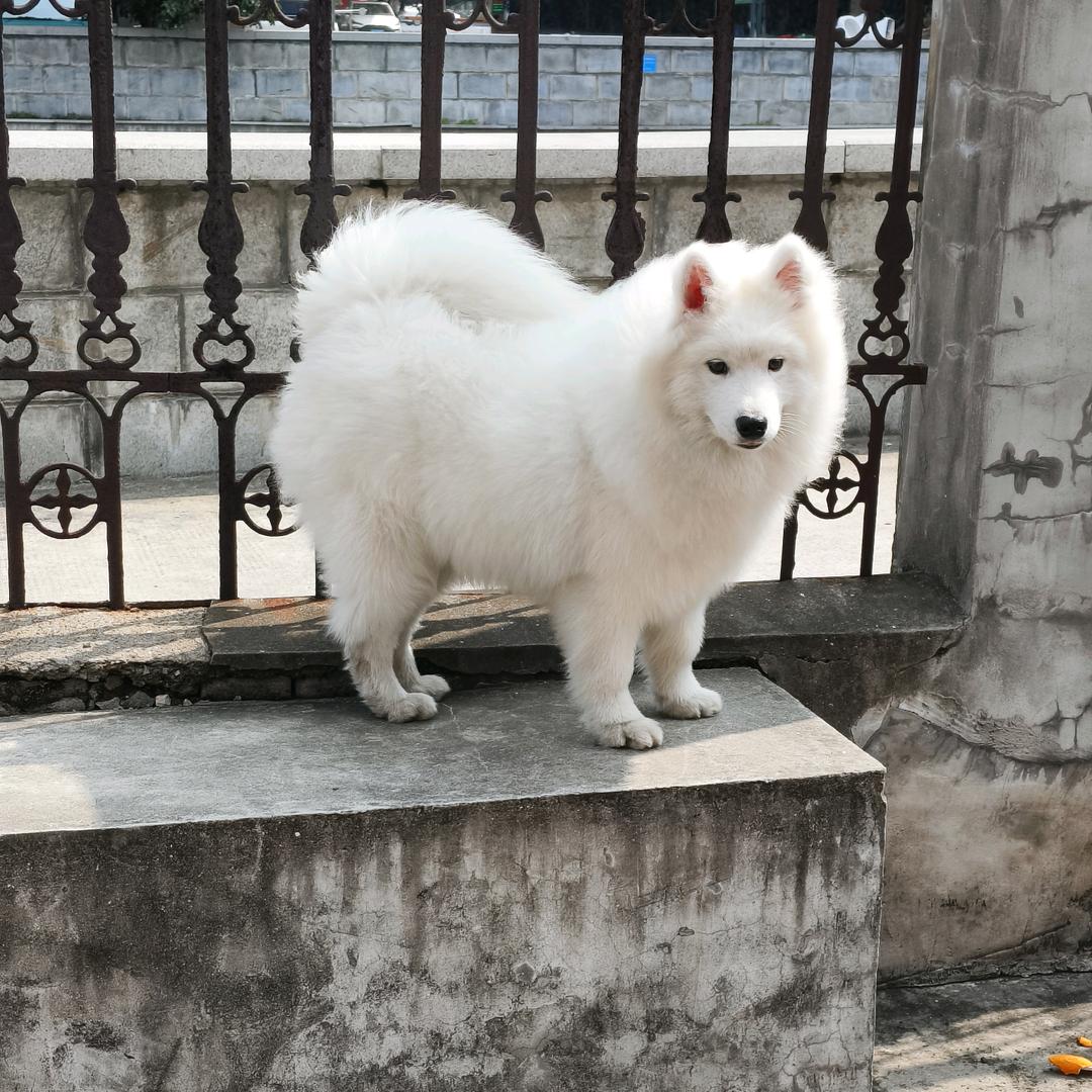 耿耿余怀