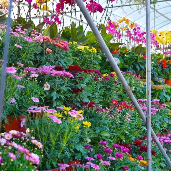 一个人挺好♡(*´∀｀