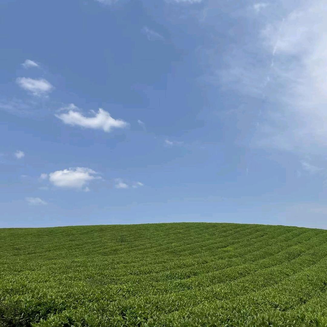 ＇
