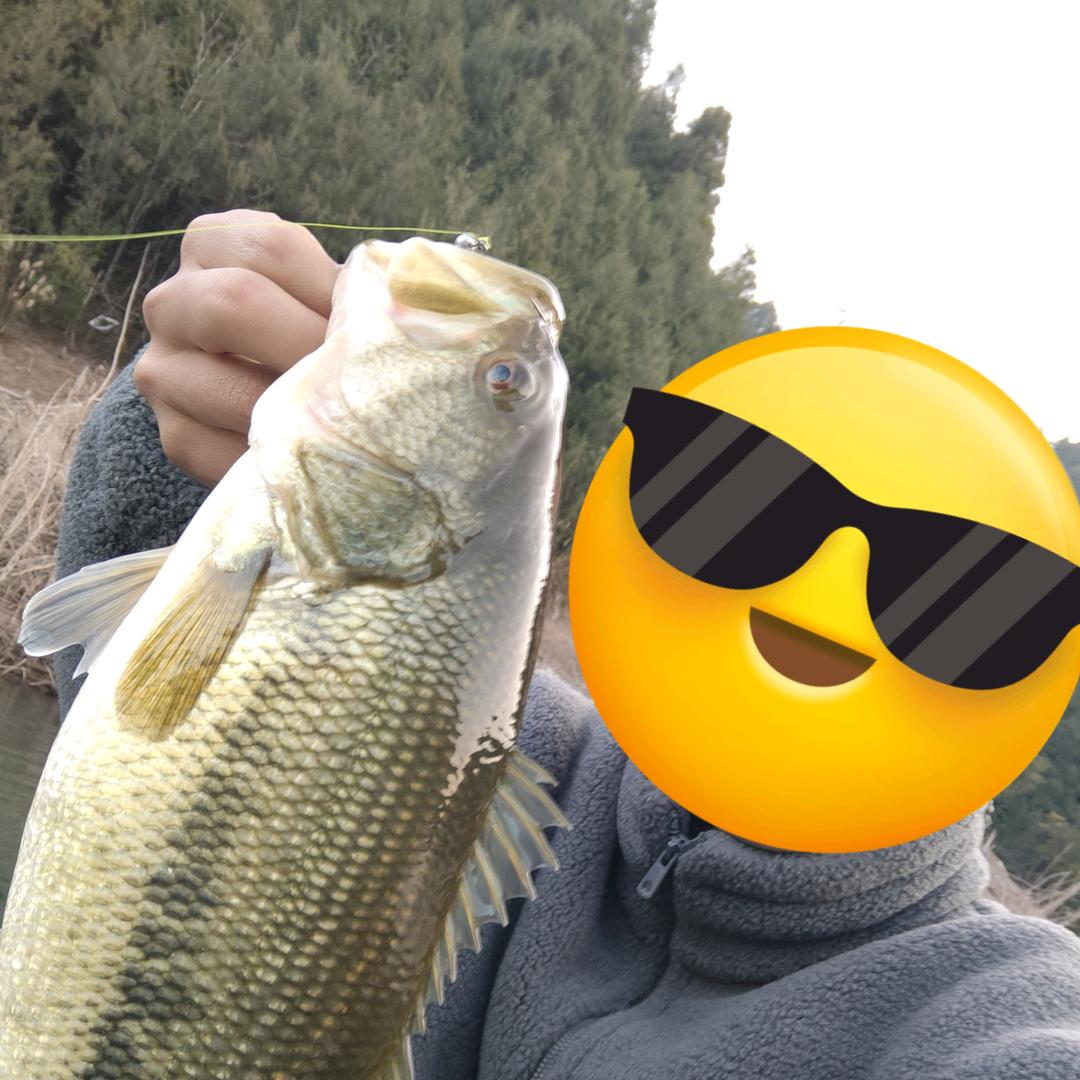 爱上路亚🎣（野钓）