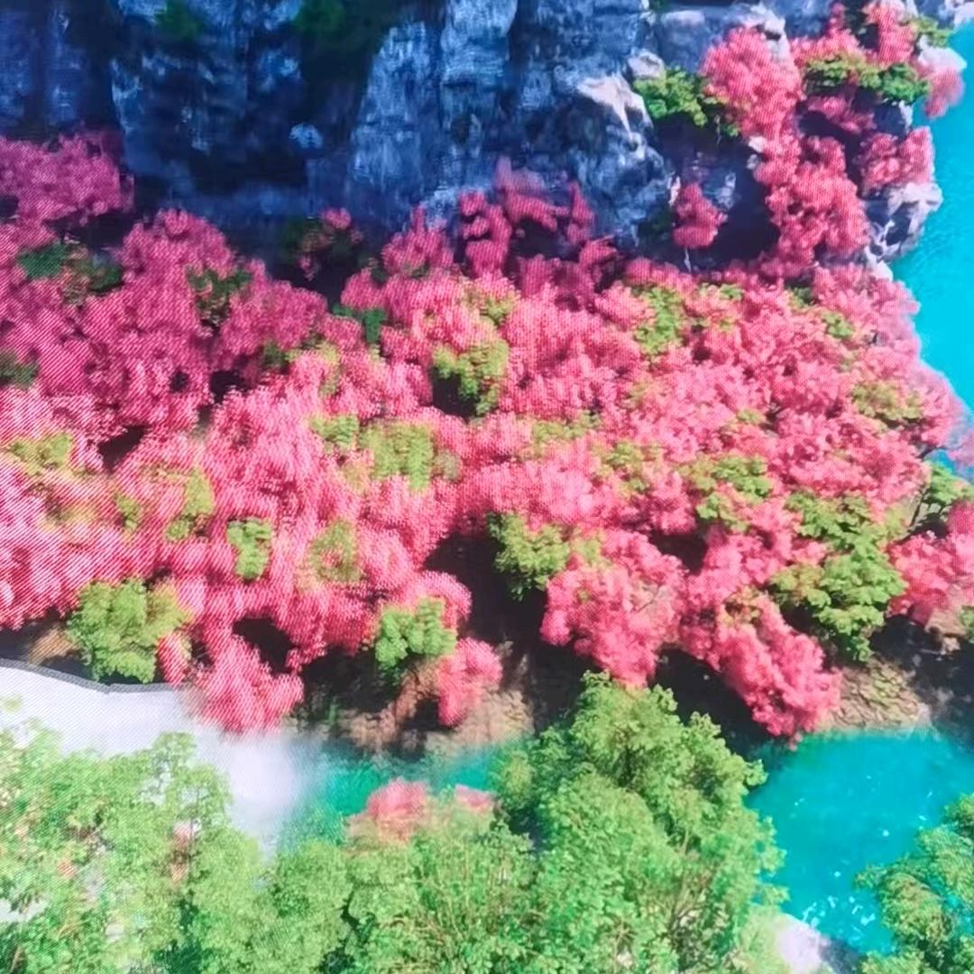 立白