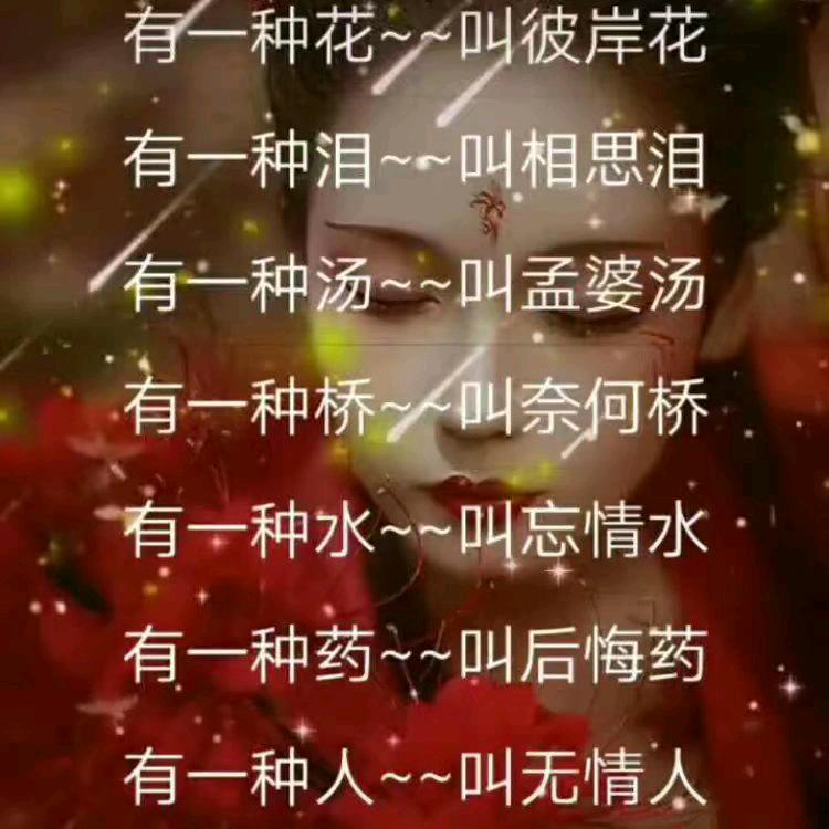 与你同在