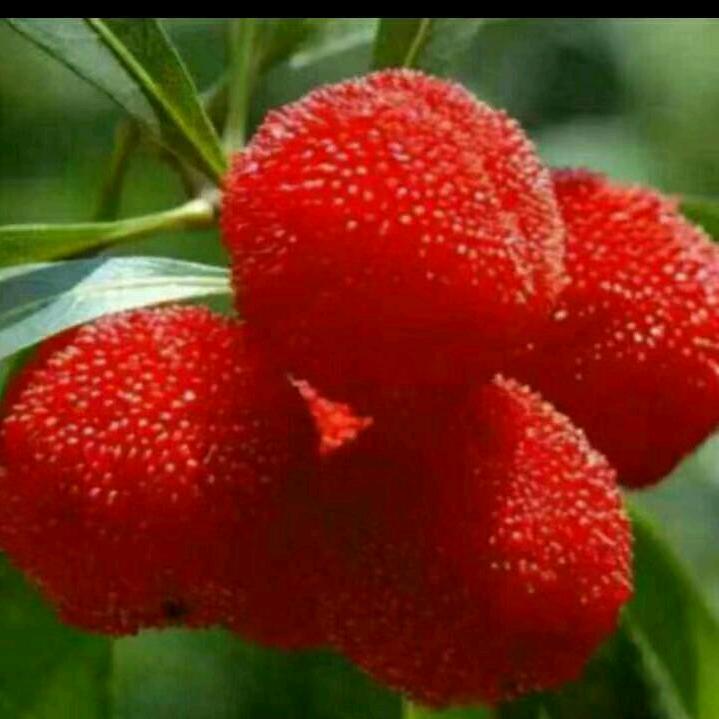 四季发财8⃣8⃣8⃣8⃣8⃣8⃣8⃣8⃣