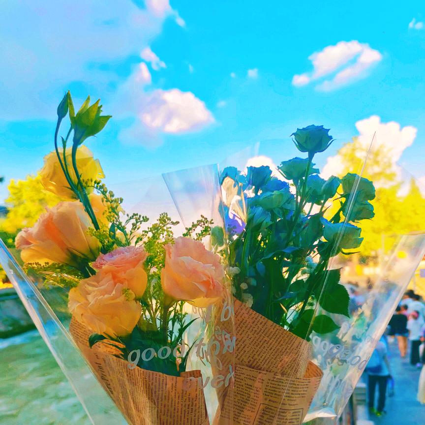 ℳ💕ঞ清欢拾梦💕ꦿ᭄࿐