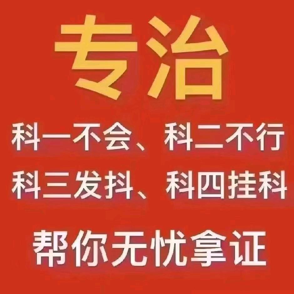 驾驶员信息咨询