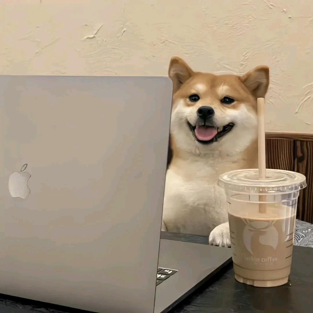 赢确实挺🥳