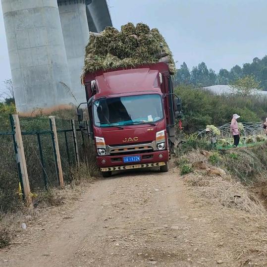 拉韭菜呢小杰🚚