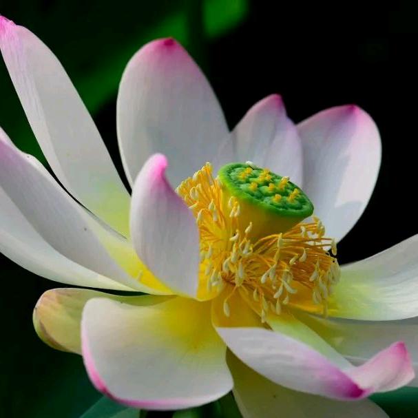 感恩所有！！！