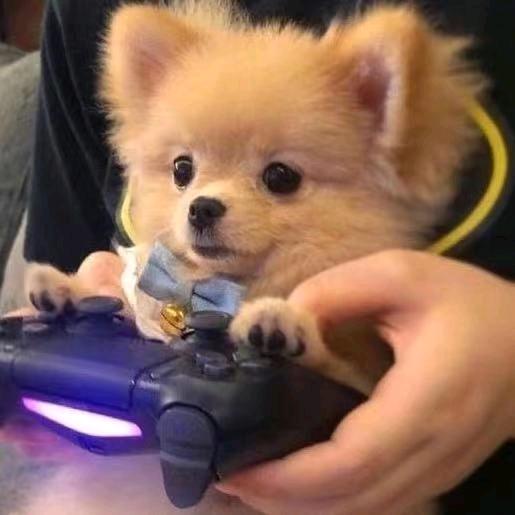 🥇前男友🇨🇳