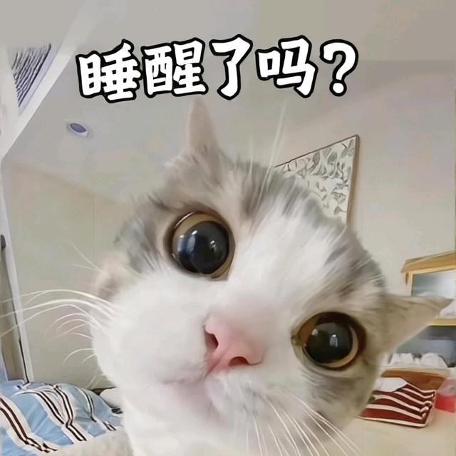 路亚刘师傅