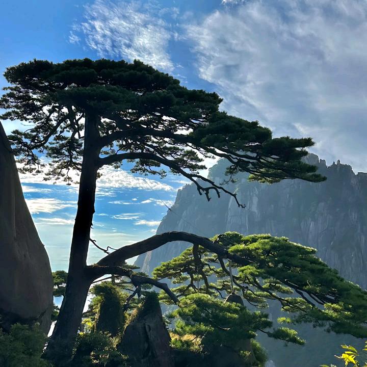 黄山草帽哥