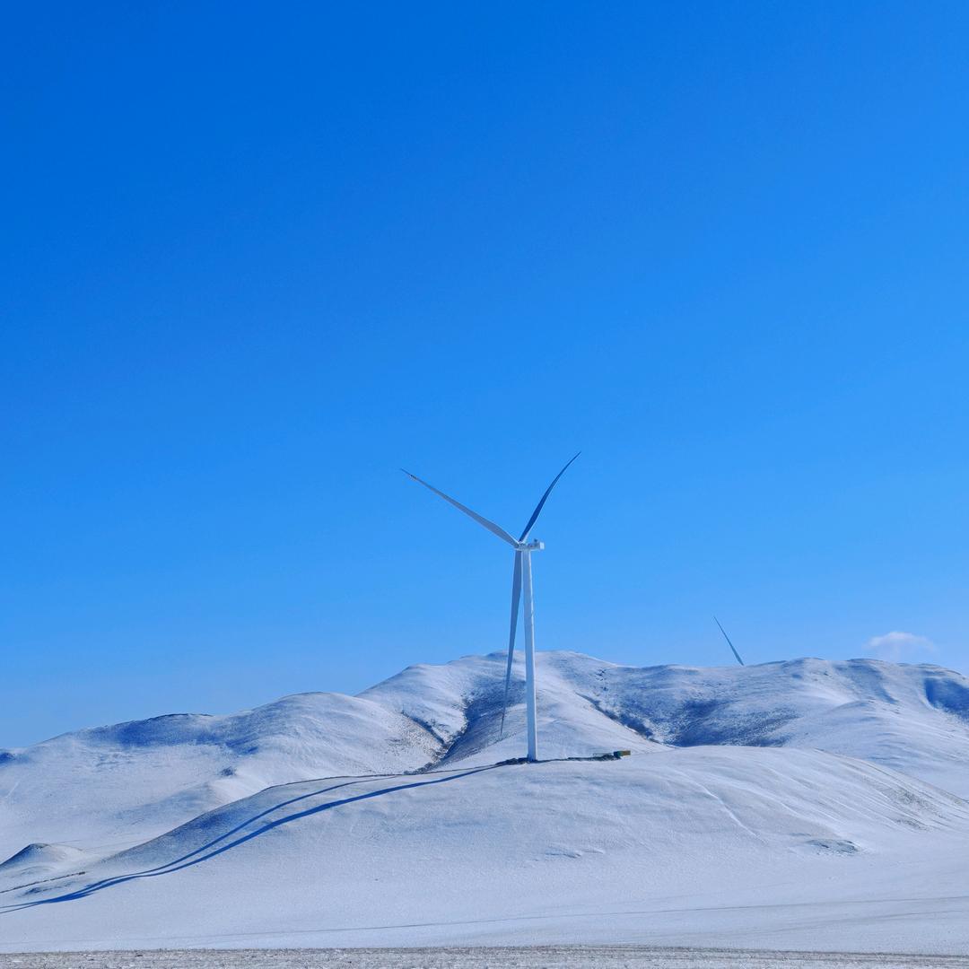 ☘️心沉大海☘️