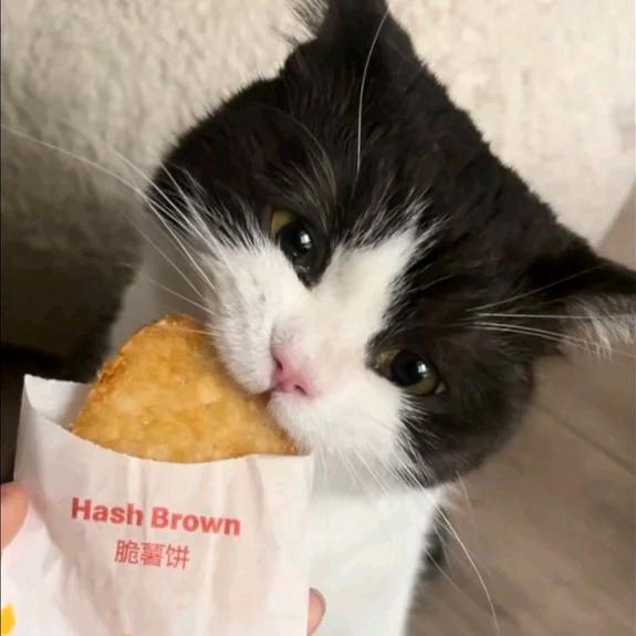 麻辣破忒头