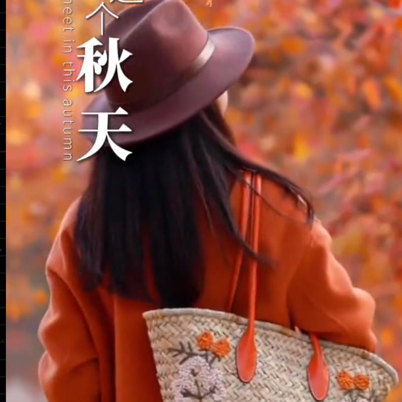 诗雨