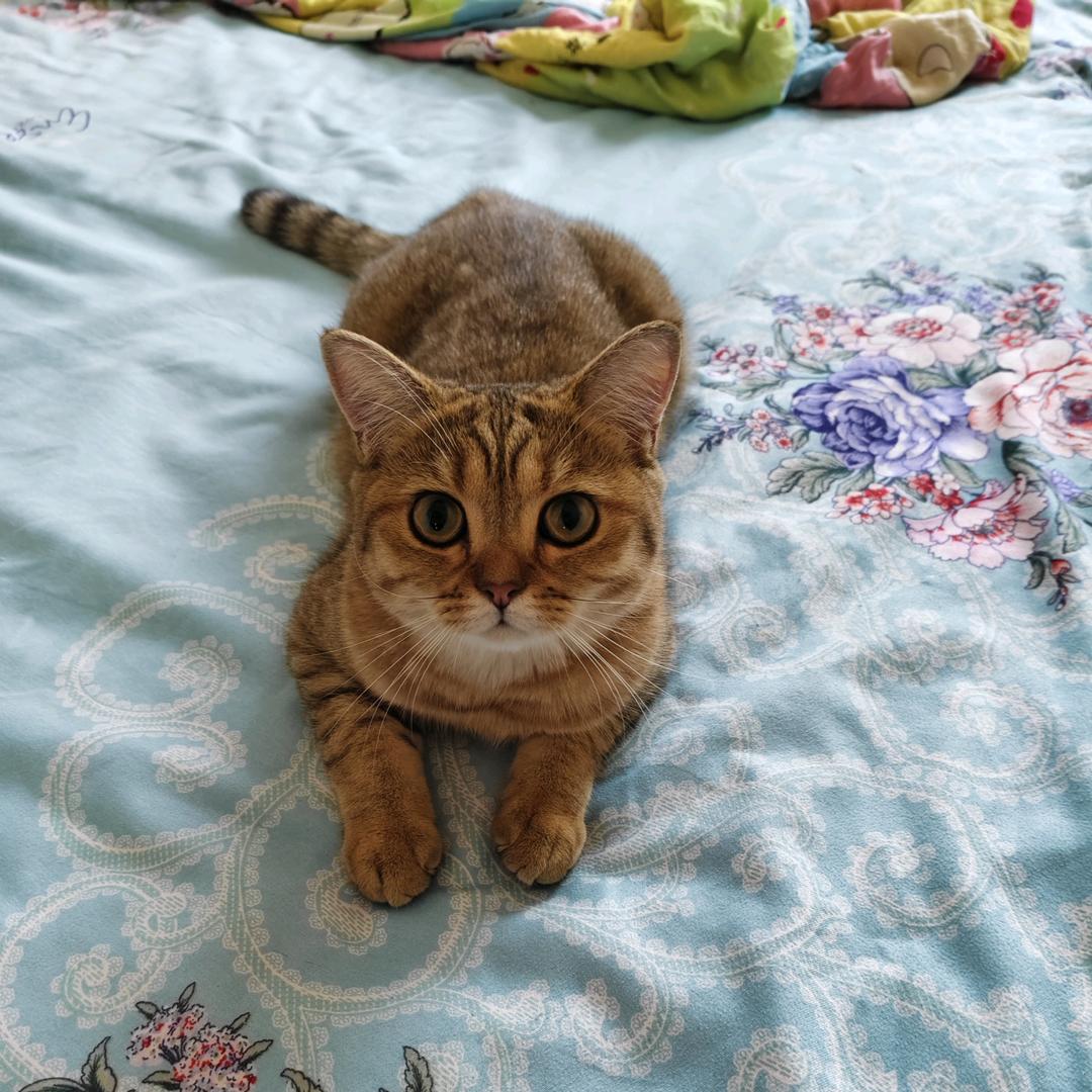 ღ᭄ ❤ 🌸🌸❤️࿐