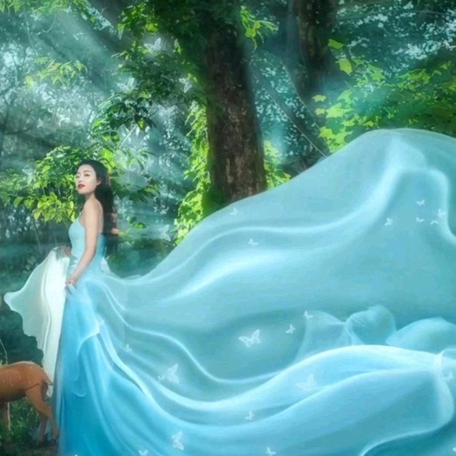 雨后奇迹