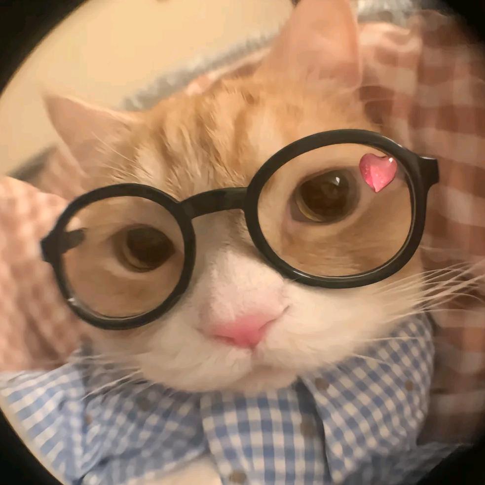小猫小猫坏事做尽