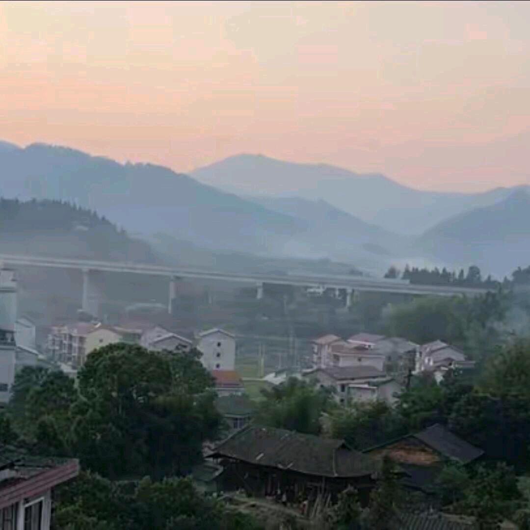 繁花似锦