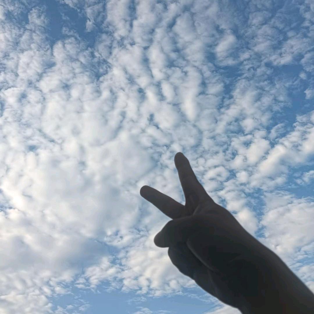 屠教官拒绝私聊