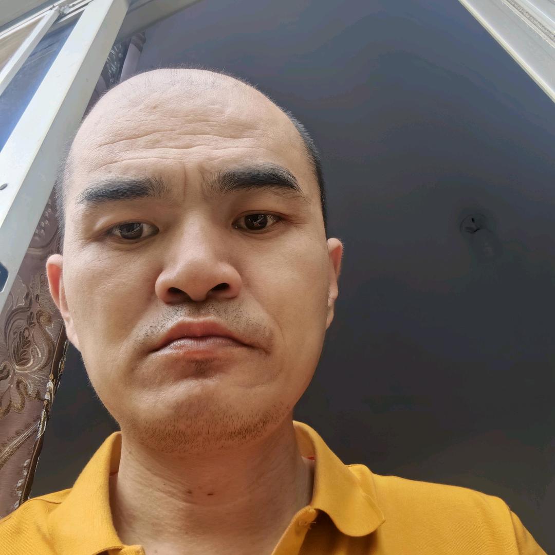 归来的光头强