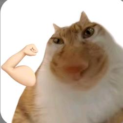 农村喂鸡日常🐥