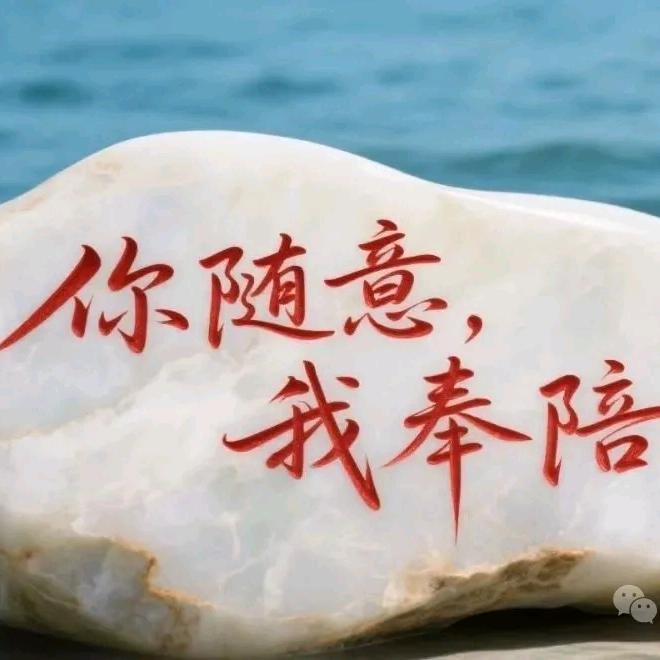 单身《M》哥