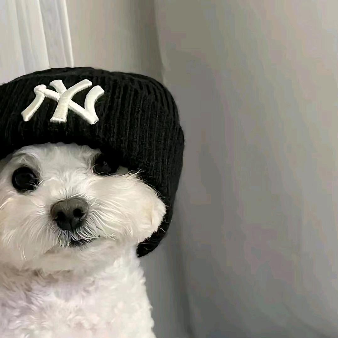 豆芽吖的小铺豆芽拆卡屋