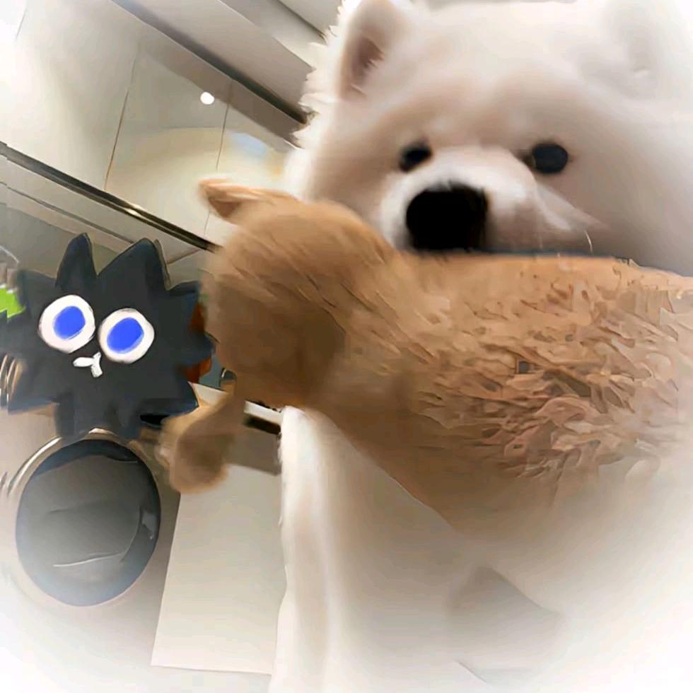 长安花
