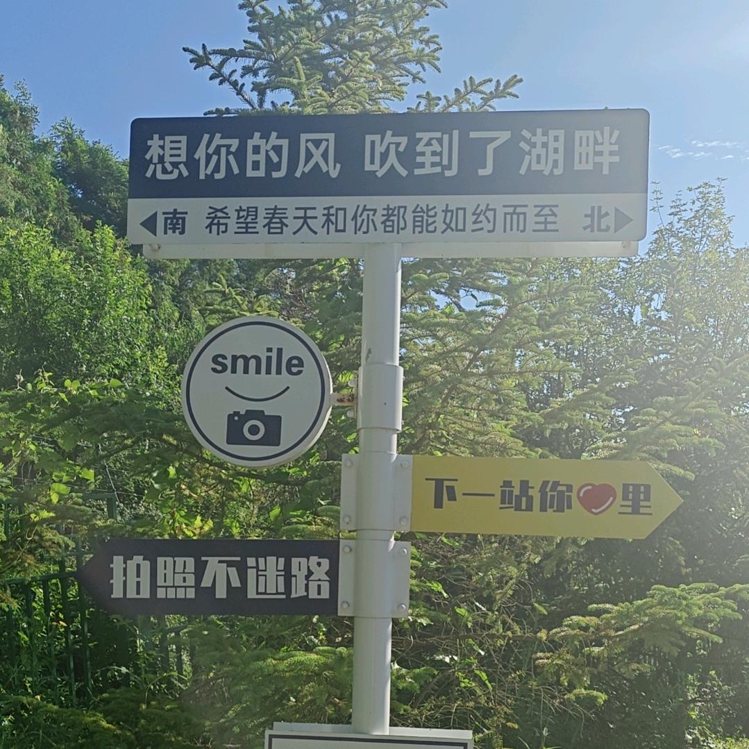 美美搭