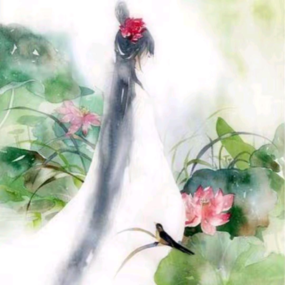 晋晋推荐官 桃花赋🌸