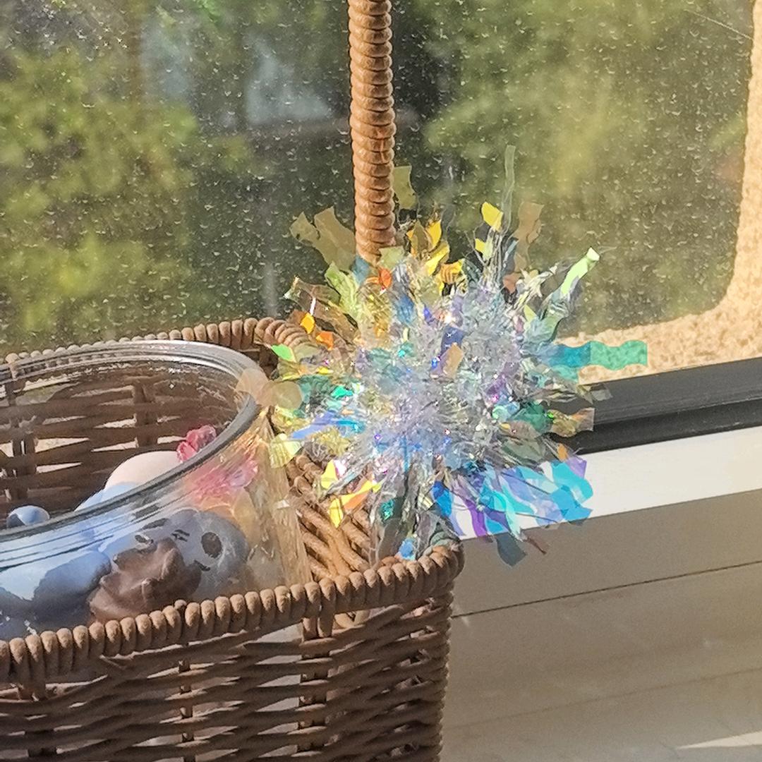 芋泥包包