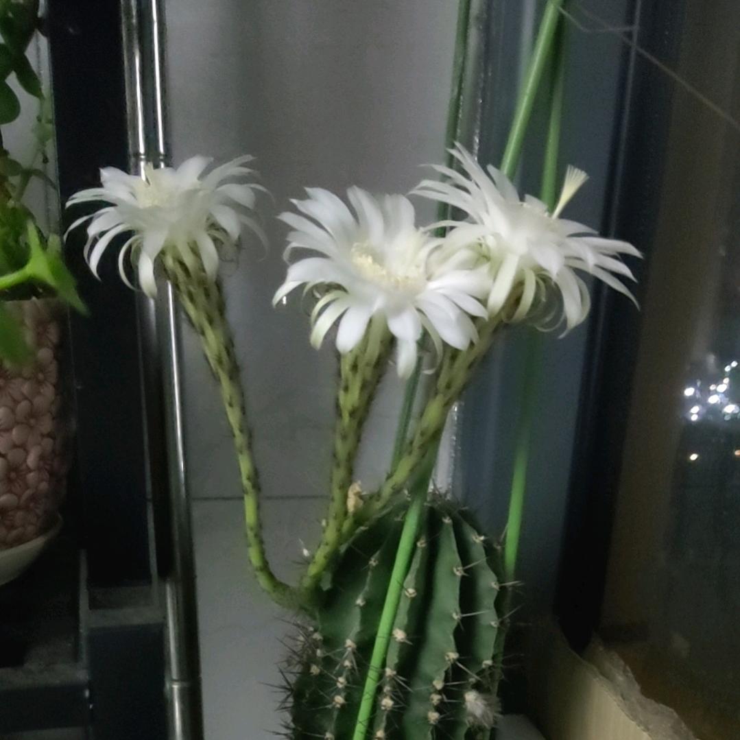 👐吕途愉快
