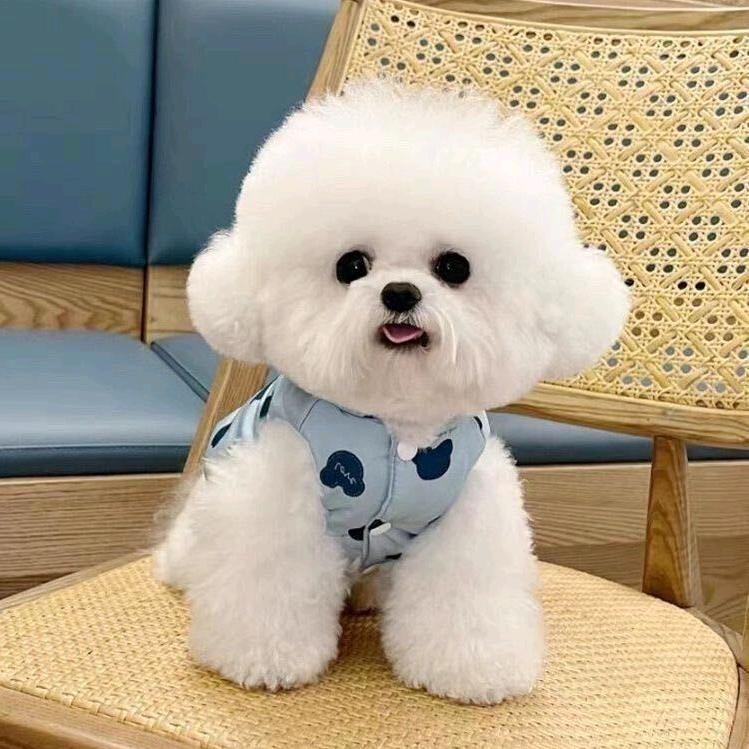 全🍒糖🍎去🍓冰