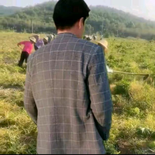 秀弟