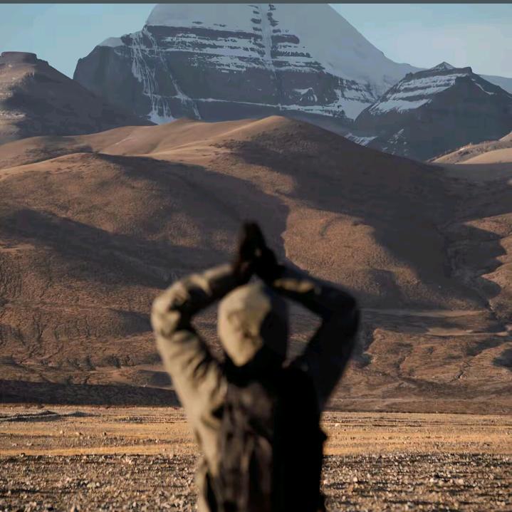 蓝 桉📷