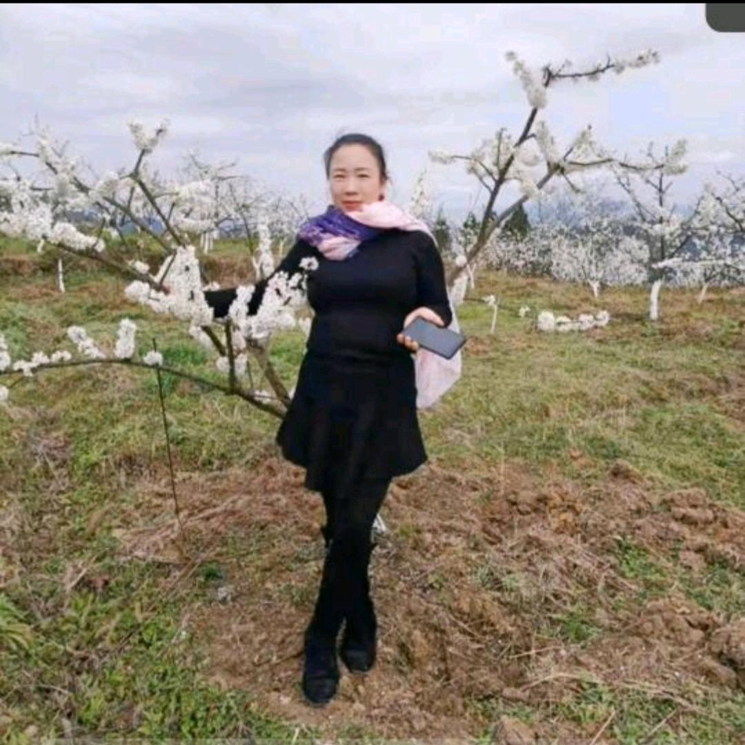 清哥