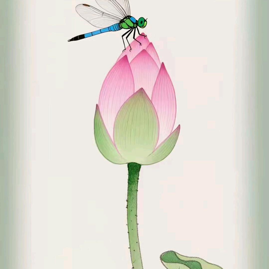 菩提芯
