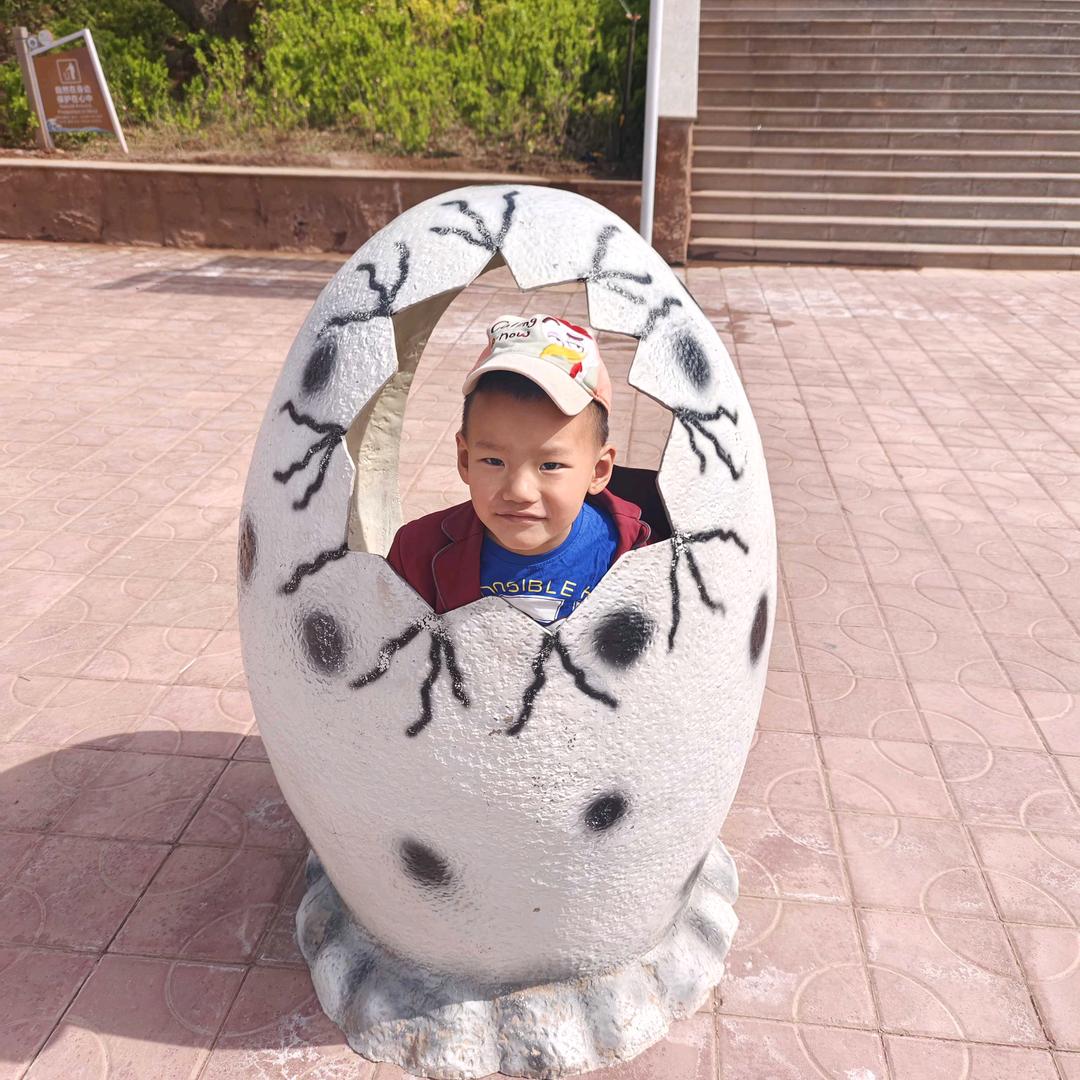 MR_杨