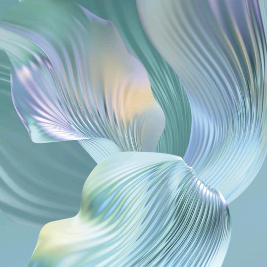 永不言弃