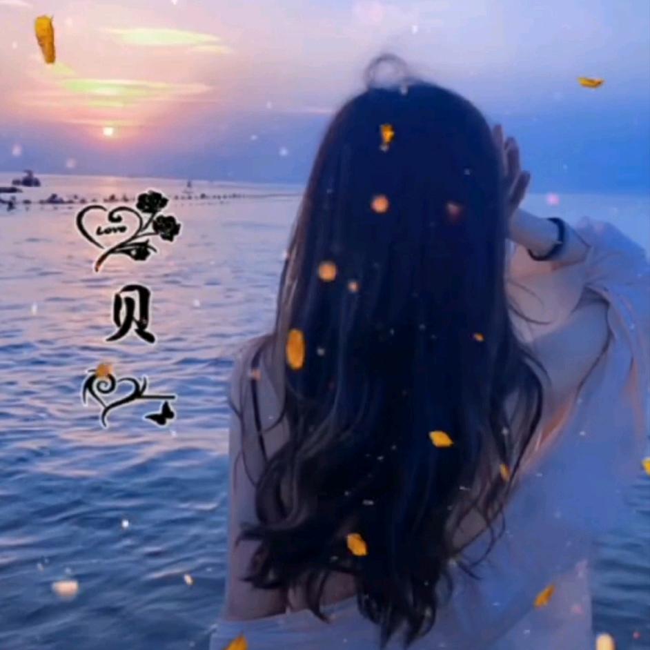 贝贝
